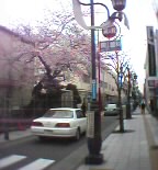 06-03-26_10-00.jpg