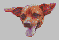 Gantan.png