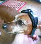 05-07-06_06-41.jpg
