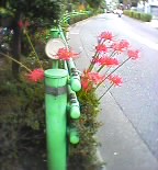 06-09-26_06-16.jpg