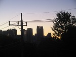 s-img_0775.jpg