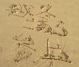 s_img_1108.jpg