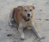 img20070611_1.jpg