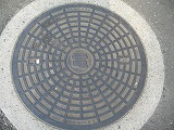s-img_0729.jpg