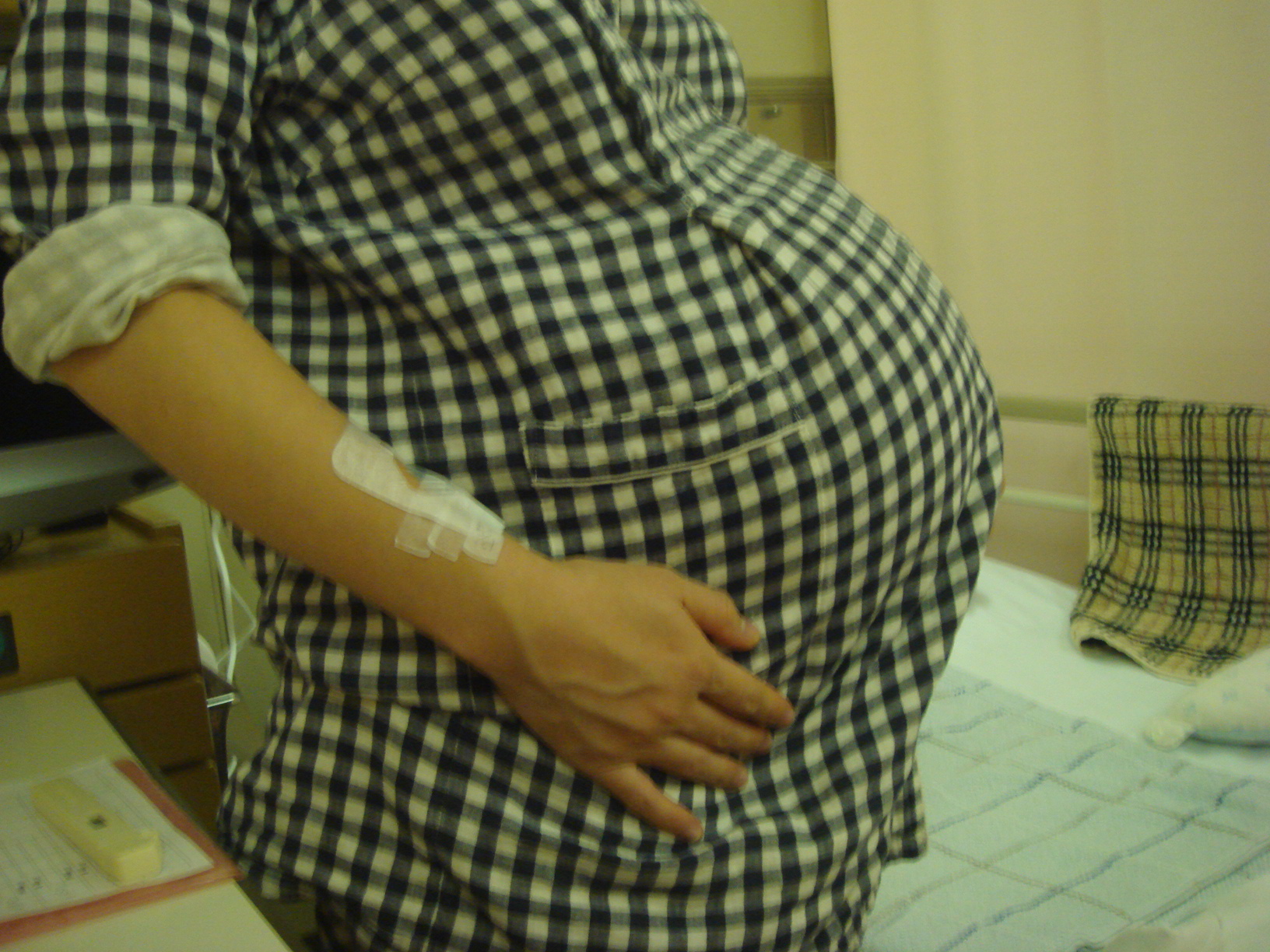 双子妊娠 続き２ 心ある犬