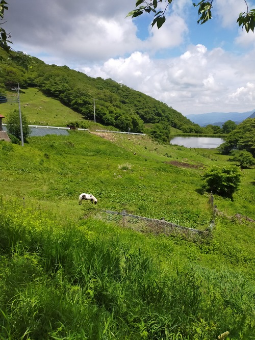 IMG20210617125117