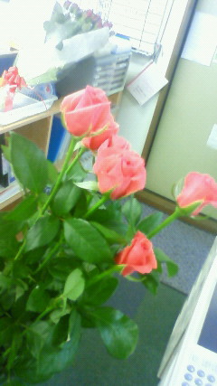 img20090926.jpg