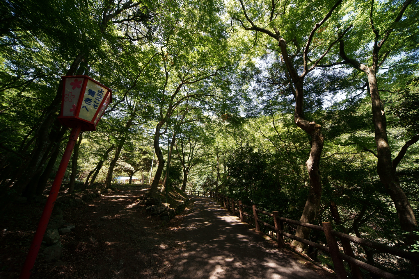 岐阜県の養老公園にある養老の滝を撮影 黄昏ドライブイン コスプレカメコはデジタル一眼の夢を見るか 岐阜県の養老公園にある養老の滝を撮影 黄昏ドライブイン コスプレカメコはデジタル一眼の夢を見るか