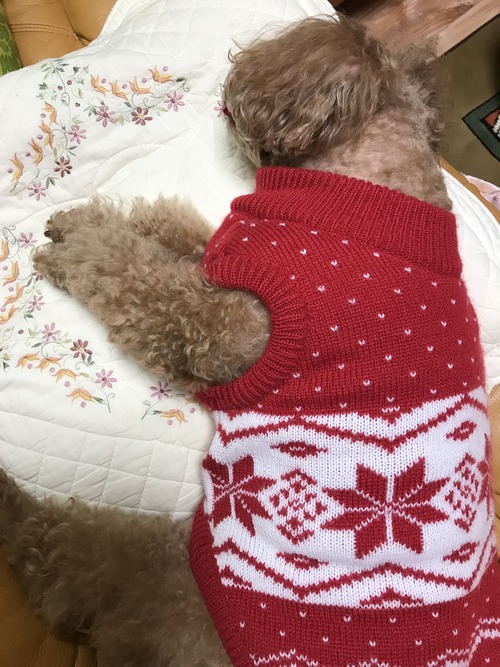 E9AC4A8A-6E92-4FB4-885F-D8D2D9F6194C