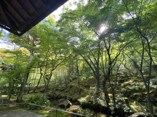 408C9EF4-C41F-467F-99DB-F37DFE68E068