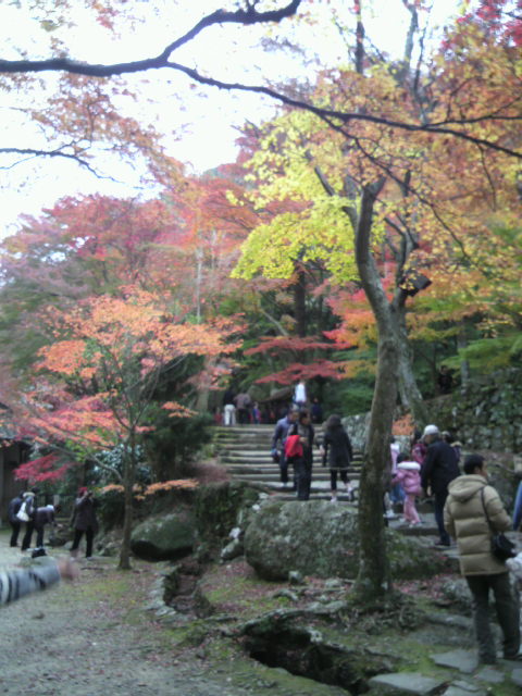 p1000669.jpg