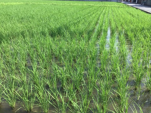 F885E675-C8DE-4B28-9779-7C89646DFFAD