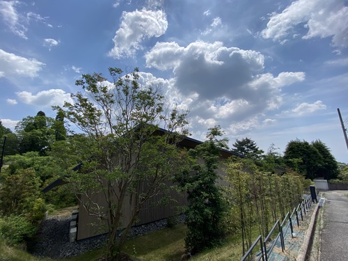 C8B1FC2F-CB3D-4FF7-876C-5CBE4EFAF31D