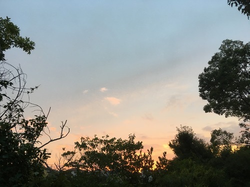 B385AB62-9EF5-4757-BB7C-8BEAC956AF04