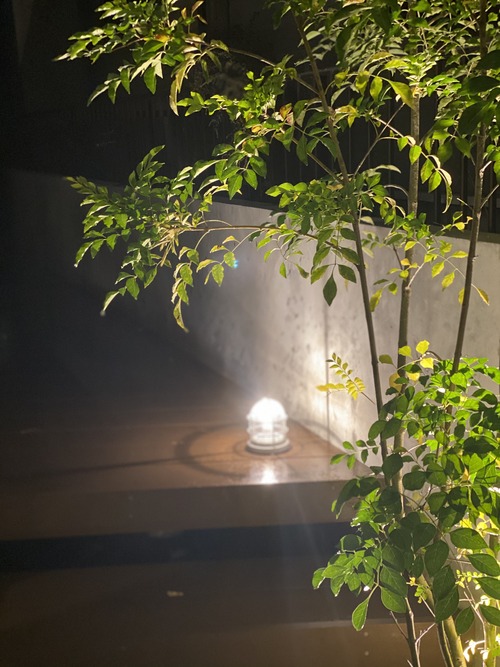 39635102-20D3-484F-8783-68C6D6FD8E20