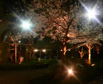 p1000189.jpg