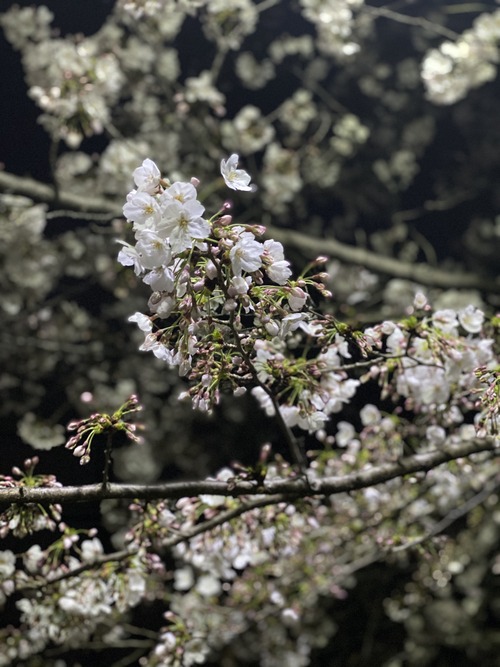 437CB81A-ED5E-4952-ADF9-A5C919159500