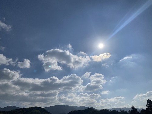 1AE61AB9-031C-4818-8C28-444842A87F43