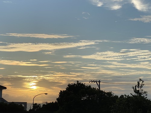 60BA9938-C255-4A9C-810D-45BB2BCF72DD