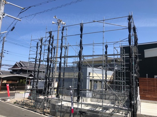 7671A6C3-AE29-4D73-95F5-C693DDA2048B