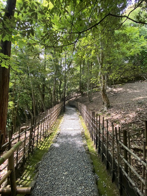 A3E7B8C9-99DF-4112-BB19-ED2D3FB08212