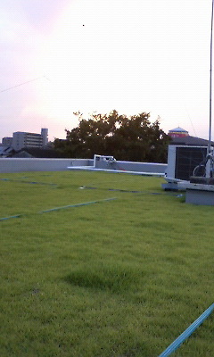200908081851001.jpg
