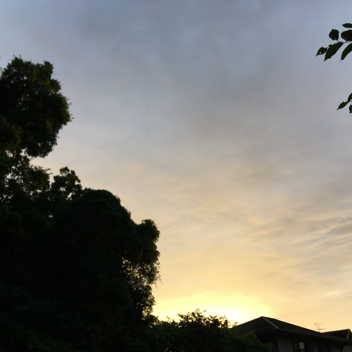 A64B2F39-2844-4A2D-B0E6-7F5BD4188E35