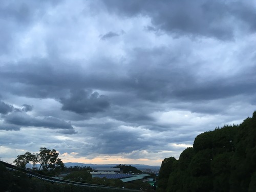 A7CFC469-D0CB-4E37-9882-36C950F5FE57