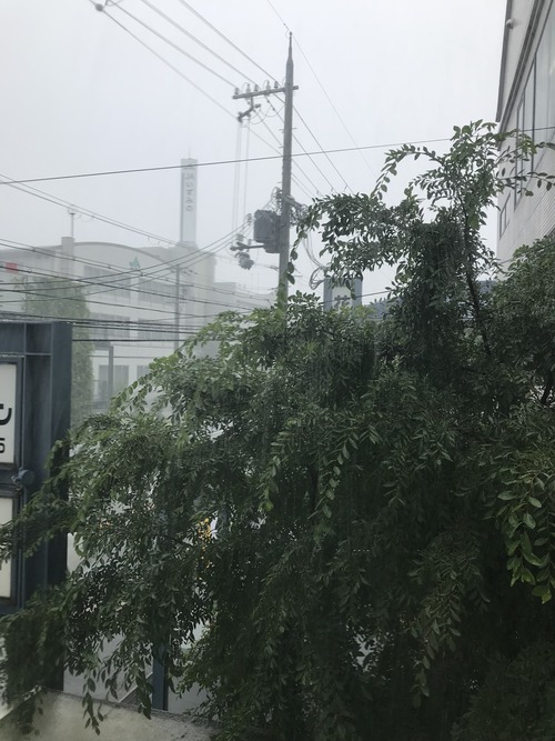 4DCB8C6D-7162-41DA-9DC5-4A229D0D43CC