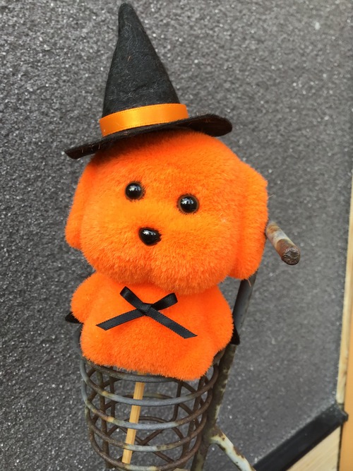 01017A62-3178-4720-9D21-DEA7BA9DF403