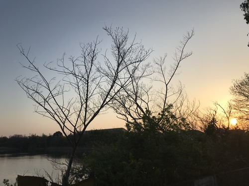 2575E842-BAD8-4DC4-A274-4153937FF80E