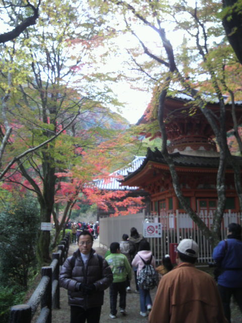 p1000670.jpg