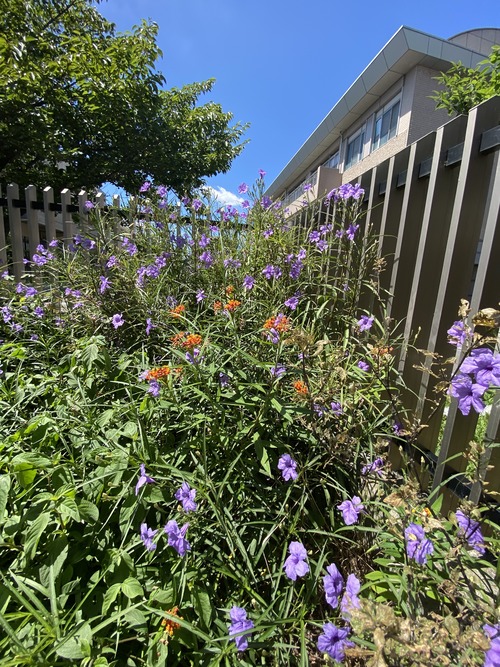 945BB07B-2712-4A04-A02F-CD27616B31A7