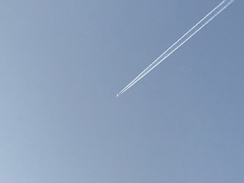 EF3BD785-860E-4C98-8215-2DE260C3C361