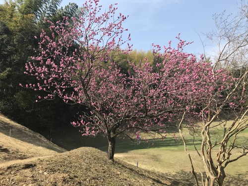 71CA162A-5309-40B6-B146-F815FC61C087