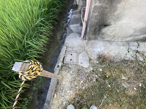 7CC40A37-DD1F-480B-91D4-D68AF5D55646