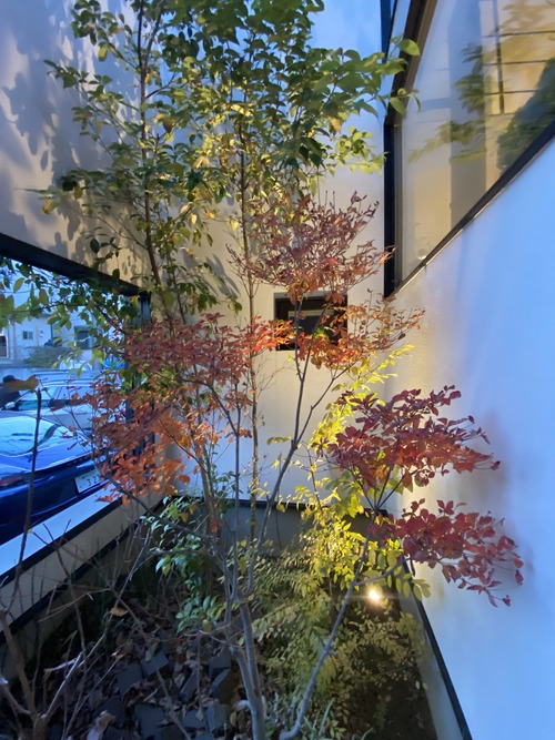 62BBF44D-29C6-4AF9-8500-0D8059B97246