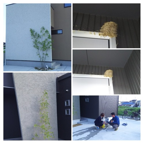 20170429_183735-COLLAGE