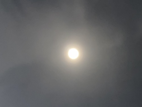 2C4E9CA7-24A5-4BD7-A599-32069375A84D