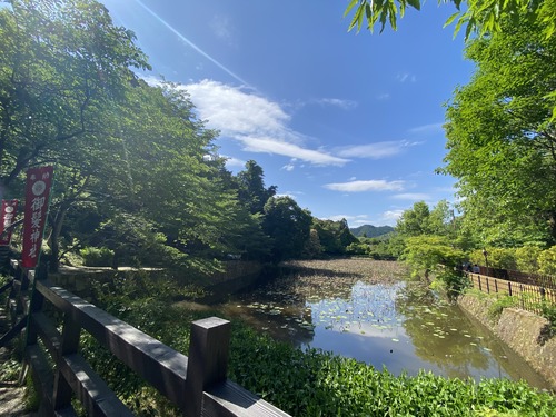 D7F7D782-16A4-44D6-BA91-2DBCB84CD86A