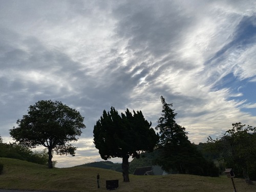 963E7235-B04E-45BD-93F6-9FF0F71B0CB8