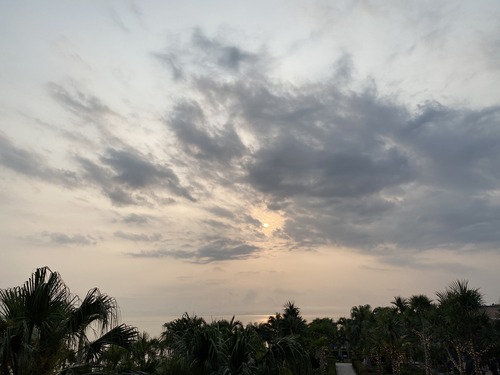 7A6ADE55-6EA9-48B8-9856-4569D509115C