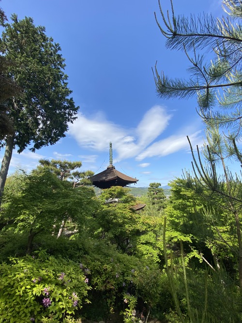 DE051C32-A0B8-49CC-8C9B-227D1AE653F3