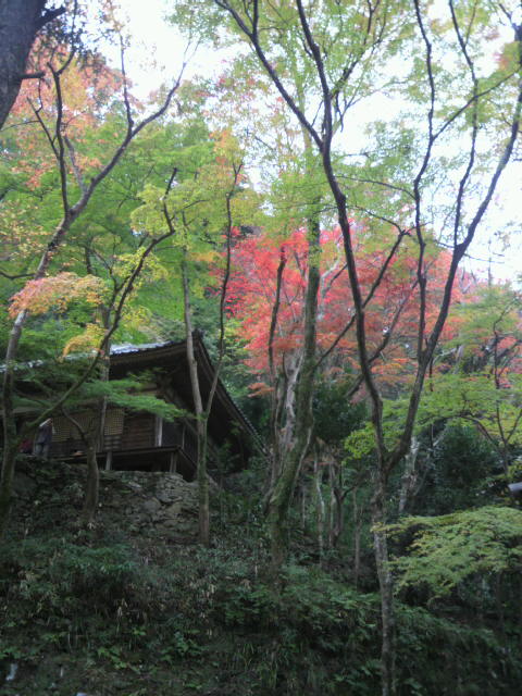 p1000673.jpg