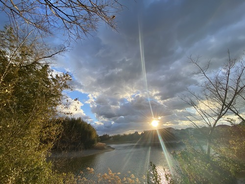 B8EE0B99-6576-4A14-BF5C-9377AE7D411F