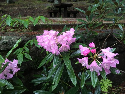 2C490340-7D68-4BF8-A9A7-2FE8890050F9