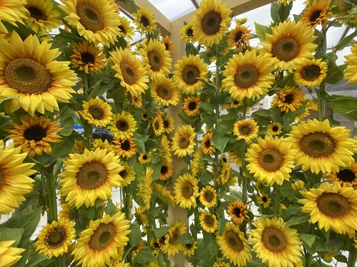 6ECE45BE-0B05-4686-B1F5-450EB3E10863