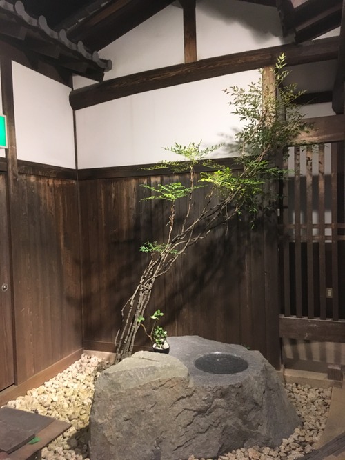 DF7D1C45-E49E-4F1B-B3F9-551A92C98AC8