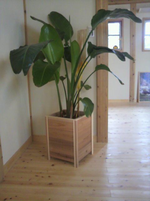 p1000635.jpg