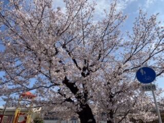 8E412999-B648-4F9E-ABE8-DA9AA6807EA8